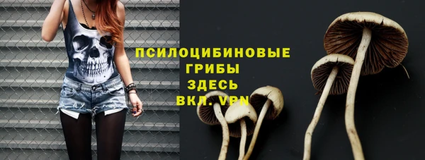 прущие грибы Няндома