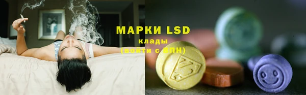 прущие грибы Няндома
