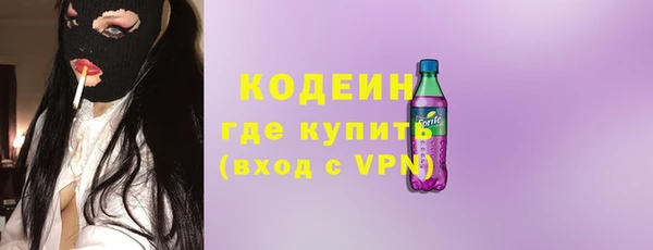 прущие грибы Няндома