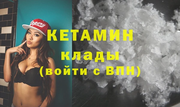 прущие грибы Няндома