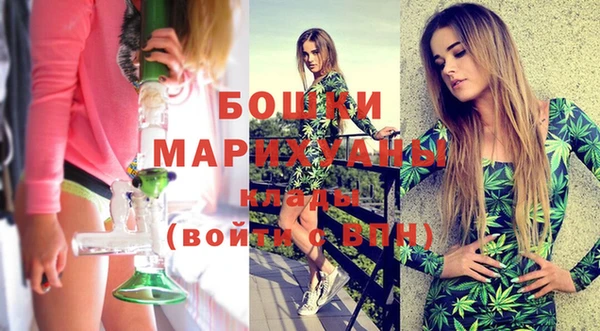прущие грибы Няндома