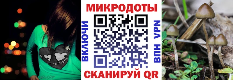 Псилоцибиновые грибы GOLDEN TEACHER Россошь