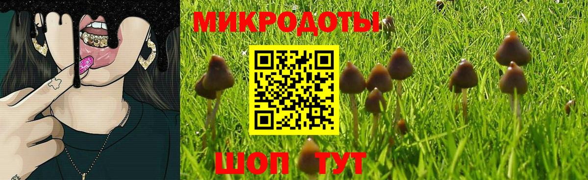 Галлюциногенные грибы MAGIC MUSHROOMS Россошь