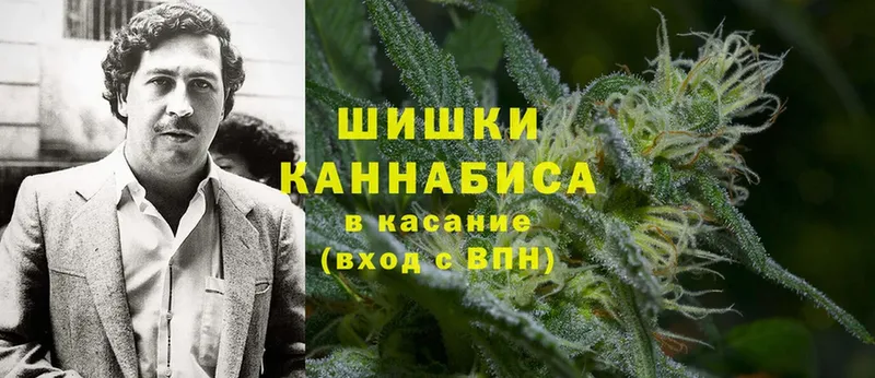 Бошки марихуана Ganja  цены   Россошь 